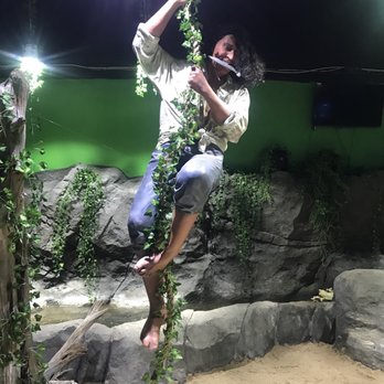 Austin Aquarium - New shark exhibit coming soon! - Aquariums Near Me - Austin, Texas