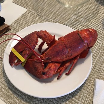 Beach Plum Lobster Farm - Seafood Markets Near Me - Ogunquit, Maine
