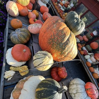 Nalls Produce - Fruits & Veggies Near Me - Alexandria, Virginia Nalls Produce - Fruits & Veggies Near Me - Alexandria, Virginia