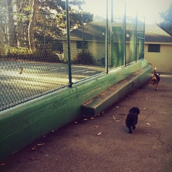 Holly Park - These two are "gonna" help me shed some of my holiday baby fat, pronto! "fml" :p - Parks Near Me - San Francisco, California Holly Park - These two are "gonna" help me shed some of my holiday baby fat, pronto! "fml" :p - Parks Near Me - San Francisco, California
