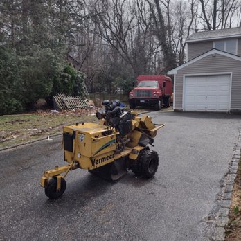 Arborland - Stump grinding - Tree Services Near Me