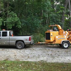 Bobs Local Tree Service - We also have the heavy equipment.