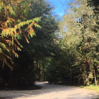 Givhans Ferry State Park - Parks Near Me - Ridgeville, South Carolina