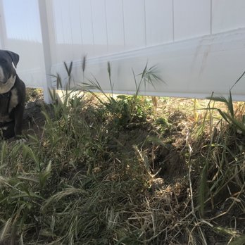 Home Renew 360 - They think my dogs won't get out. - General Contractors Near Me
