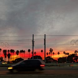 Mission Bay Automotive - CALIFORNIA DAY