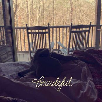 Cedar Creek Cabin Rentals - Morning at bear creek cabin - Vacation Rentals Near Me - Cleveland, Georgia Cedar Creek Cabin Rentals - Morning at bear creek cabin - Vacation Rentals Near Me - Cleveland, Georgia