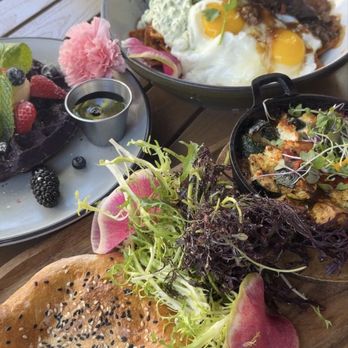 Sprout Cafe - Ube Moffle, shakshuka, short rib chilaquiles - Sandwiches Near Me - Palo Alto, California