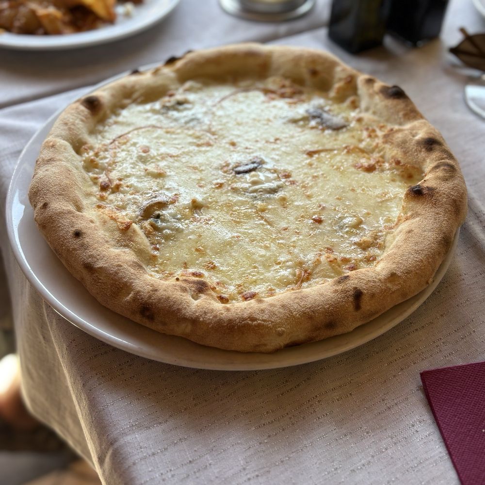 Kisté - Cheese pizza - Pizza Near Me - Pisa, PI