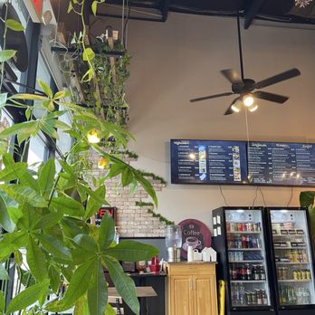 Best Bagel Shop - Indoor - Bagels Near Me - Houston, Texas Best Bagel Shop - Indoor - Bagels Near Me - Houston, Texas
