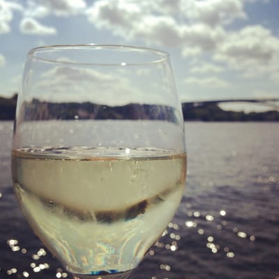 Mälarpaviljongen by null