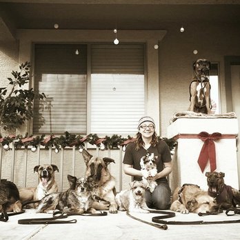 Lorenzo's Dog Training Team - Indianapolis - Merry Christmas! - Pet Training Near Me Lorenzo's Dog Training Team - Indianapolis - Merry Christmas! - Pet Training Near Me