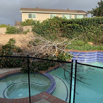 Premier Tree Experts - Tree Services Near Me - Orange, California Premier Tree Experts - Tree Services Near Me - Orange, California
