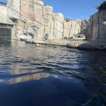 Monterey Bay Aquarium - Aquariums Near Me - Monterey, California Monterey Bay Aquarium - Aquariums Near Me - Monterey, California