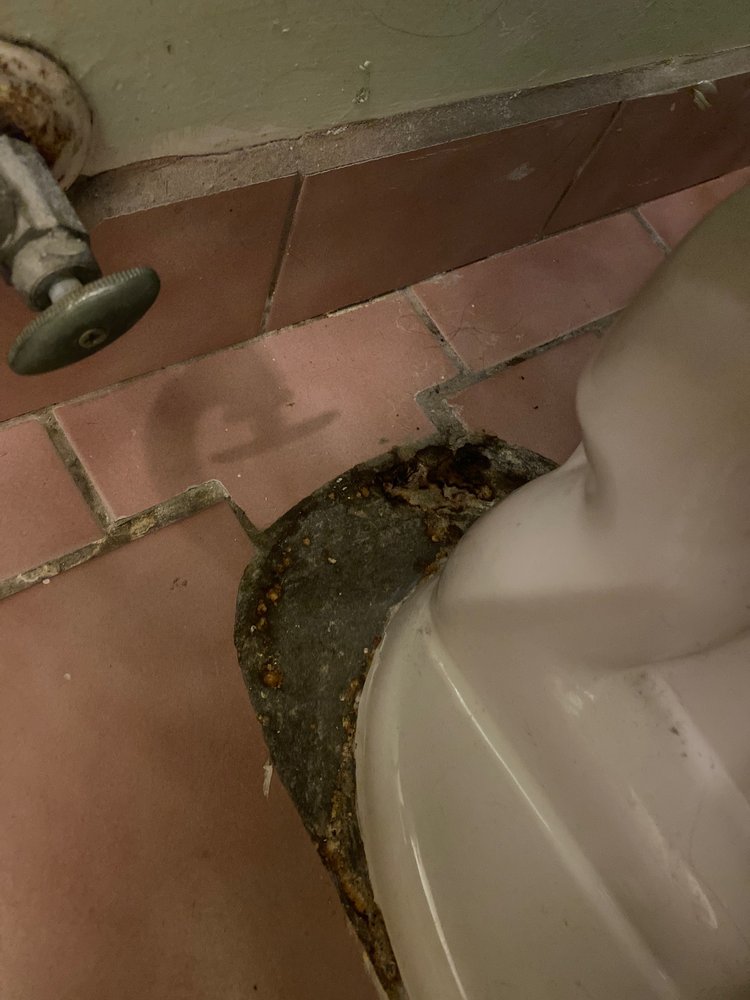 Slide of All Affordable Plumbing And Restoration