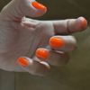 Color Me Beautiful Nails gift card