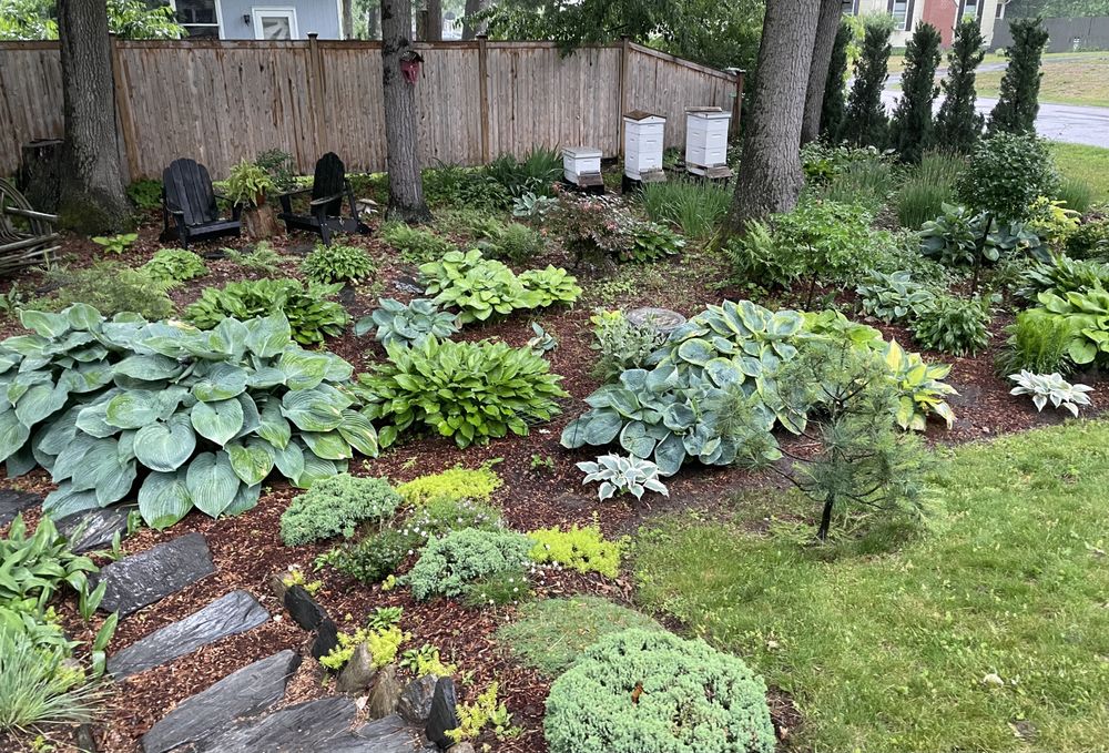 Brooks Bees - beekeeping in Essex Junction, VT