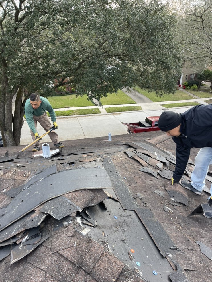 Slide of Tigers Construction