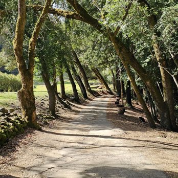 Uvas Canyon County Park - Parks Near Me - Morgan Hill, California