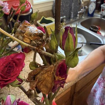 Edible Arrangements - Flowers - Gift Shops Near Me - Claremont, California
