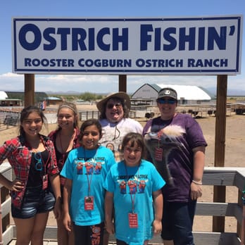 Rooster Cogburn Ostrich Ranch - Petting Zoos Near Me - Picacho, Arizona