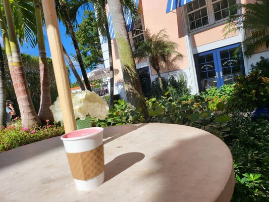 Pink Paradise Café by null