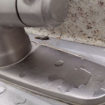Florida Realty Investments - I don't even know what this is in the kitchen - Property Management Near Me - Orlando, Florida Florida Realty Investments - I don't even know what this is in the kitchen - Property Management Near Me - Orlando, Florida