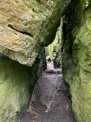 Clifton Gorge State Nature Preserve by null