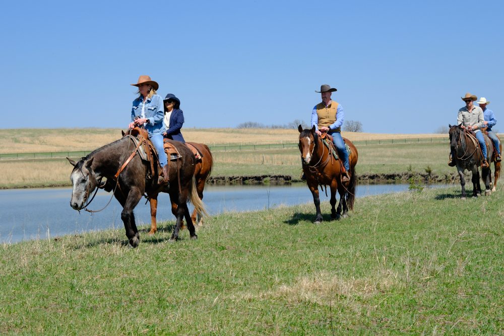 Whiskey Ranch Experience Logo