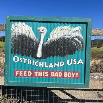 Ostrichland USA - Attraction Farms Near Me - Solvang, California