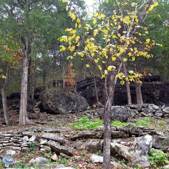 All Seasons Treehouse Village - Deck view out back - Vacation Rentals Near Me - Eureka Springs, Arkansas All Seasons Treehouse Village - Deck view out back - Vacation Rentals Near Me - Eureka Springs, Arkansas