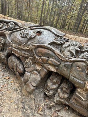 William B. Umstead State Park by null