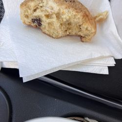 Daisy Organic Bakery - Cranberry scone