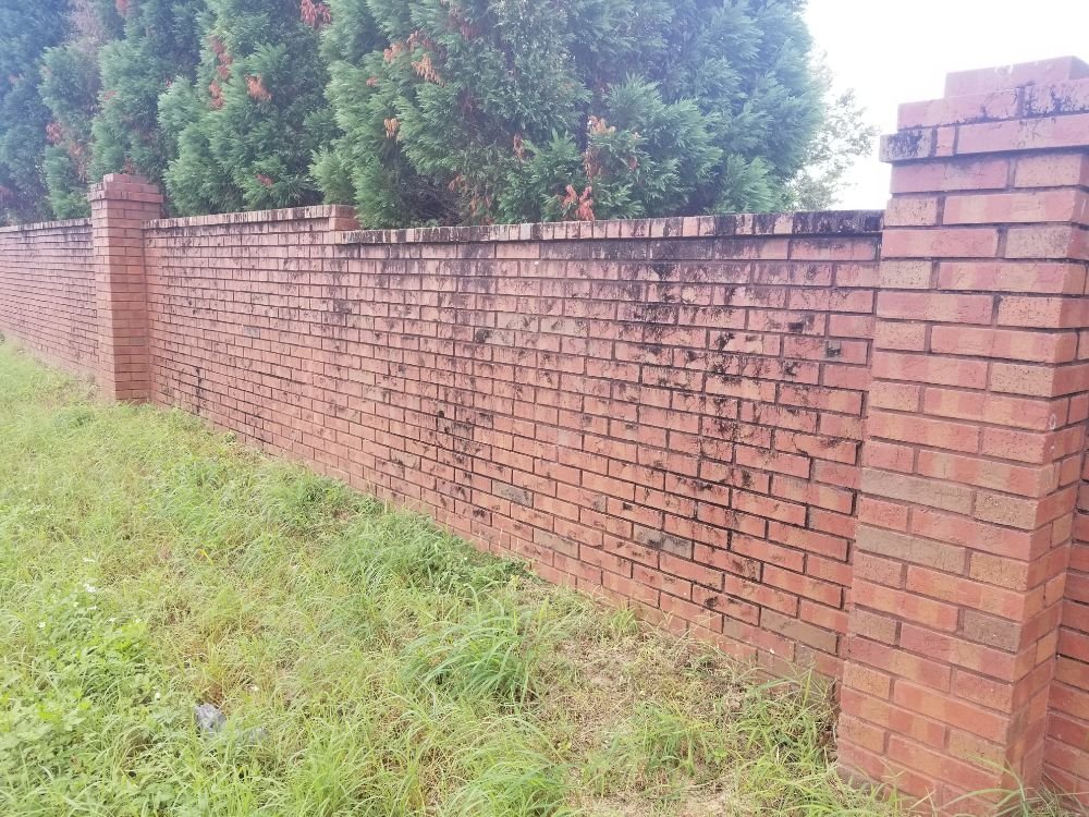 Slide of First Choice Exterior Cleaning Services