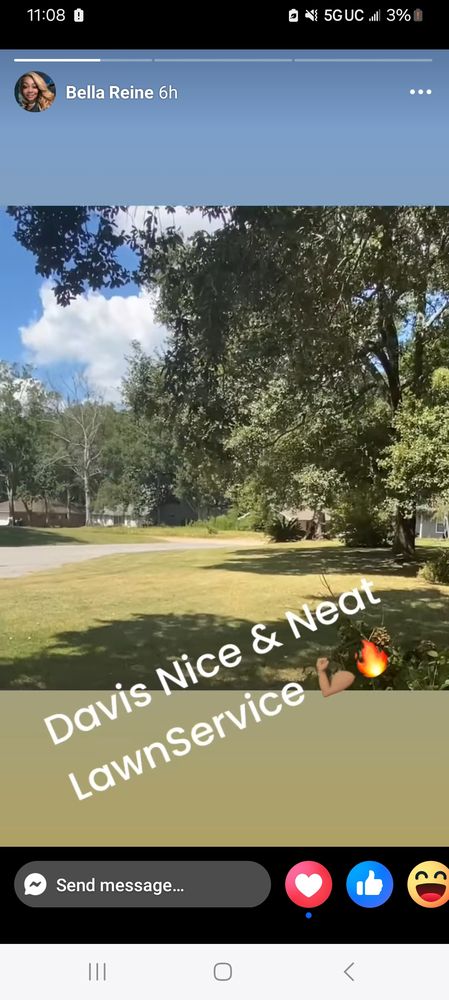 Davis Nice & Neat Lawn Service - tree service in Gulfport, MS