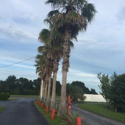 Orange Blossom Rv Park