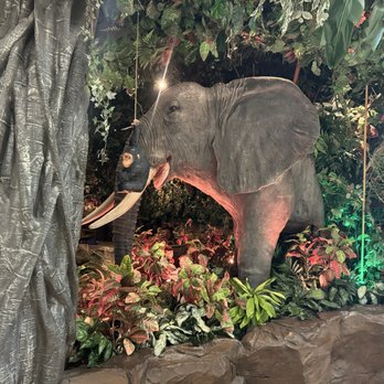 Rainforest Cafe - American Near Me - Gurnee, Illinois Rainforest Cafe - American Near Me - Gurnee, Illinois