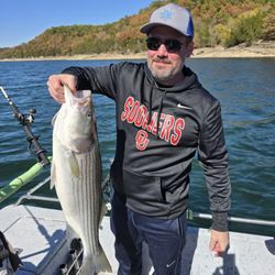 Bailey's Beaver Lake Striper Guide Service