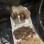 Chopstix Oriental Food To Go