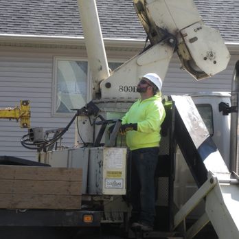 Toad's Tree Service - Tree Services Near Me - West Olive, Michigan Toad's Tree Service - Tree Services Near Me - West Olive, Michigan
