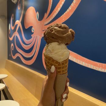 Blue Cow Ice Cream - Birthday cake and chocolate brownie - Ice Cream & Frozen Yogurt Near Me - Virginia Beach, Virginia Blue Cow Ice Cream - Birthday cake and chocolate brownie - Ice Cream & Frozen Yogurt Near Me - Virginia Beach, Virginia
