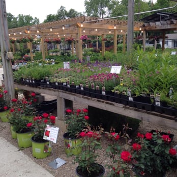 Sullivan Hardware & Garden - Endless flowers! - Nurseries & Gardening Near Me - Indianapolis, Indiana Sullivan Hardware & Garden - Endless flowers! - Nurseries & Gardening Near Me - Indianapolis, Indiana