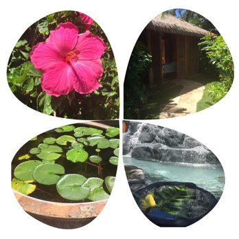 Anara Spa - Beautiful pictures at the spa - Day Spas Near Me - Poipu, Hawaii Anara Spa - Beautiful pictures at the spa - Day Spas Near Me - Poipu, Hawaii