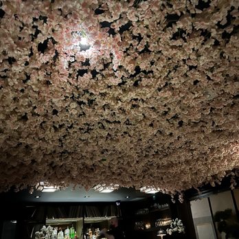 Suite 6A - Cherry blossom ceiling! - Cocktail Bars Near Me - Denver, Colorado