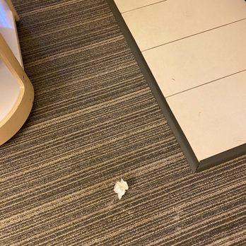 Sonesta Simply Suites Cleveland Airport - Trash on the floor. Game pieces, cards, paper, rubber bands, Easter eggs. - Hotels Near Me - Middleburg Heights, Ohio Sonesta Simply Suites Cleveland Airport - Trash on the floor. Game pieces, cards, paper, rubber bands, Easter eggs. - Hotels Near Me - Middleburg Heights, Ohio