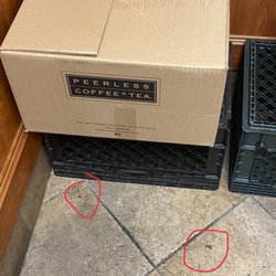 Mice droppings