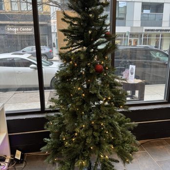 Black Luxe Candle - Pretty Tree in the front window at Black Luxe - Candle Stores Near Me - Chicago, Illinois Black Luxe Candle - Pretty Tree in the front window at Black Luxe - Candle Stores Near Me - Chicago, Illinois