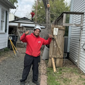 Wilbers Tree service - Tree Services Near Me - Houston, Texas Wilbers Tree service - Tree Services Near Me - Houston, Texas