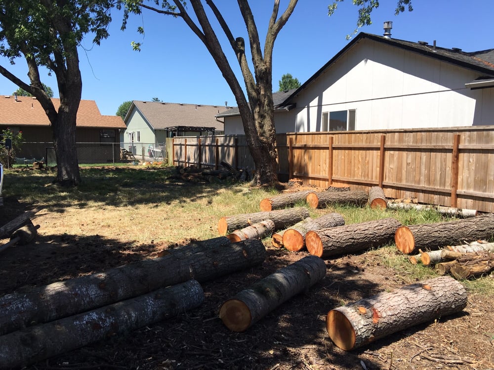 J & J Tree & Stump Removal - tree service in Salem, OR