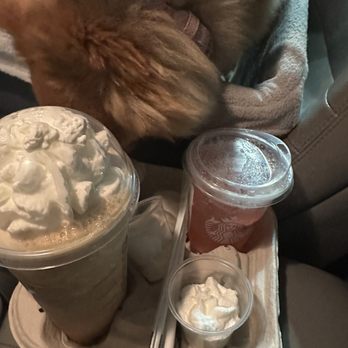 Starbucks - Venti Coffee Frap with vanilla bean powder and whip cream + Strawberry  Acai + Pup Cup - Coffee & Tea Near Me - Milpitas, California