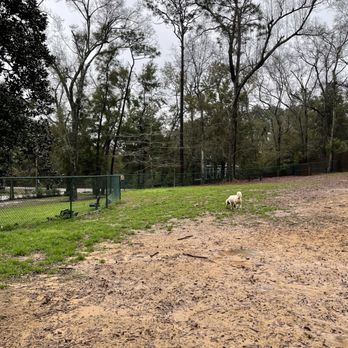 Fairhope Dog Park - Dog Parks Near Me - Fairhope, Alabama